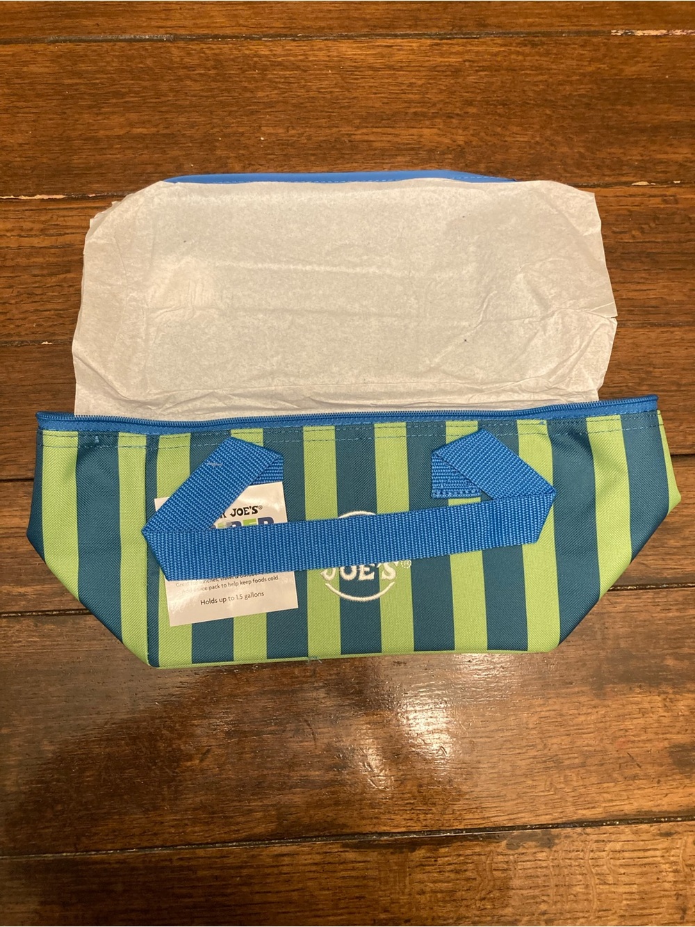 Trader Joe’s Blue & Green Striped mini Insulated Cooler Bag
